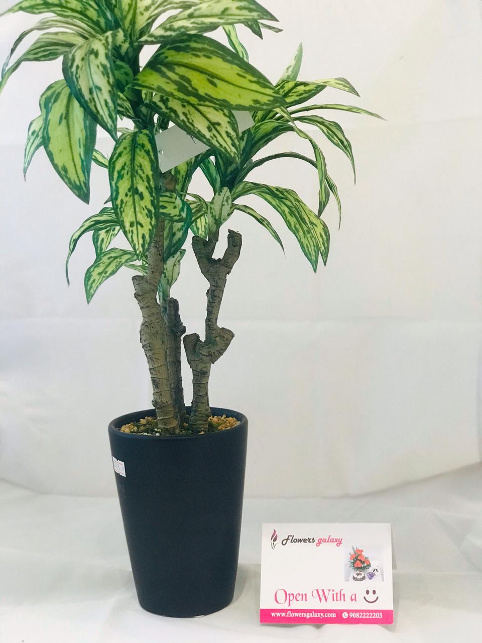 Green and White Artificial Plant (2-3 Delivery Days)           